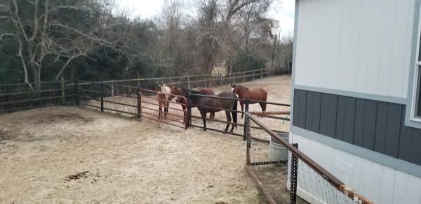 Oak Hollow Equestrian Park