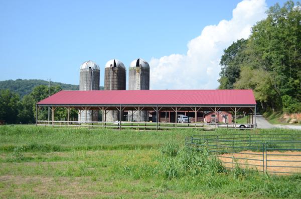 Clinch River Stables