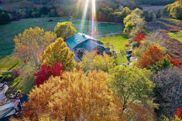 Monte Sano Stables