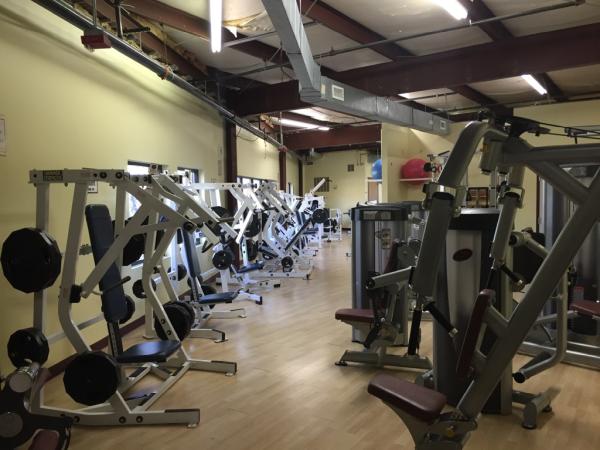 Interactive Fitness Gym & MMA