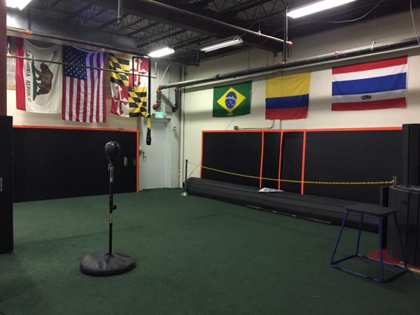 Interactive Fitness Gym & MMA