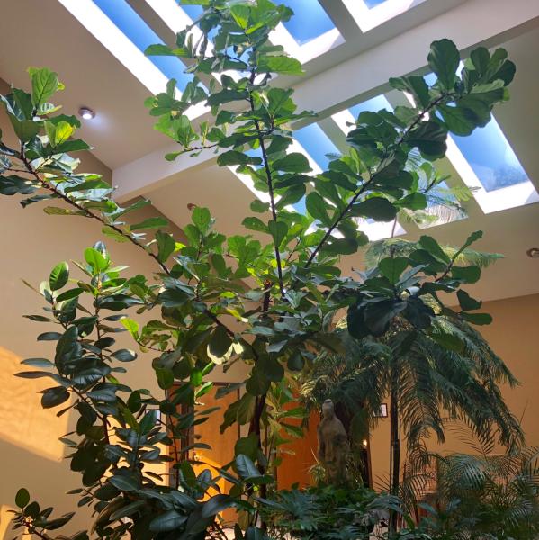 Seeking Solace Yoga Studio