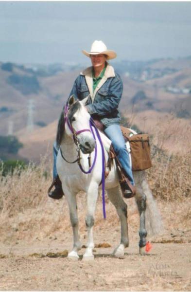 KC Equitation and Horsemanship