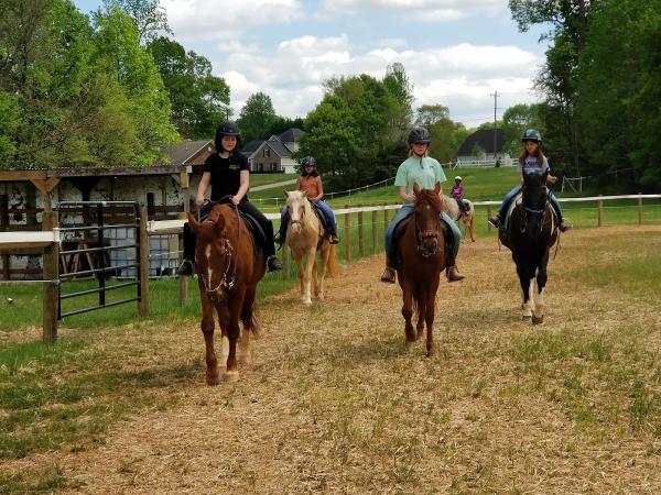 KC Farm and Riding Facilities