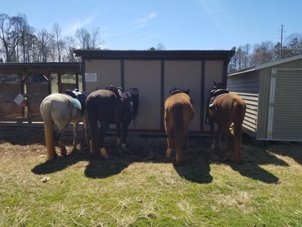 KC Farm and Riding Facilities
