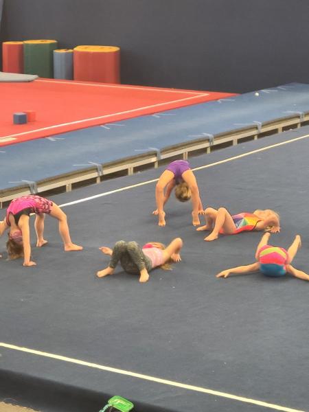 Performance Elite Gymnastics