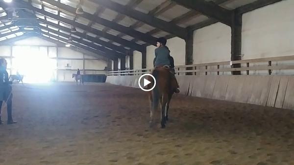 Cash Lovell Stables & Riding Academy