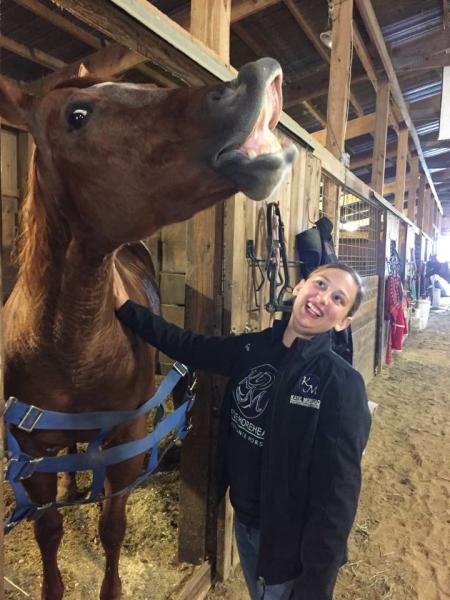 KM Performance Horses