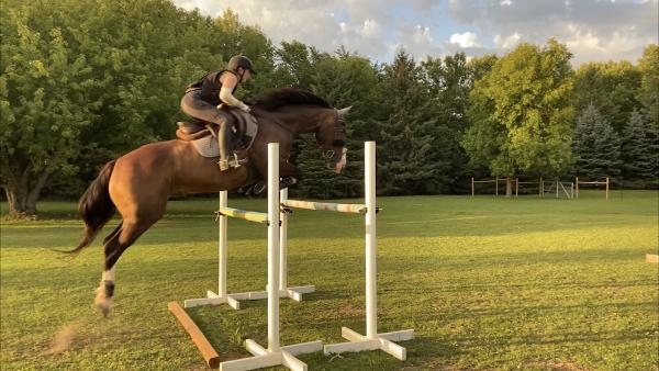 Mounting Knowledge Equestrian