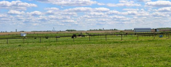 Greystone Equestrian Center