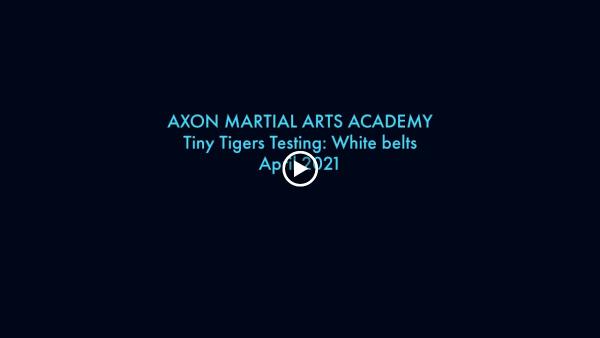 Axon Martial Arts Academy