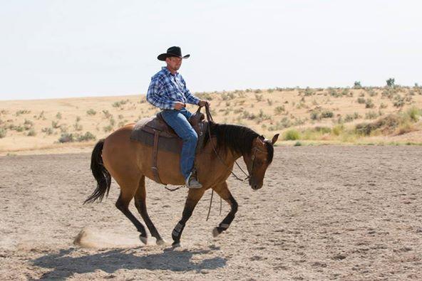 Nabel Horse Training