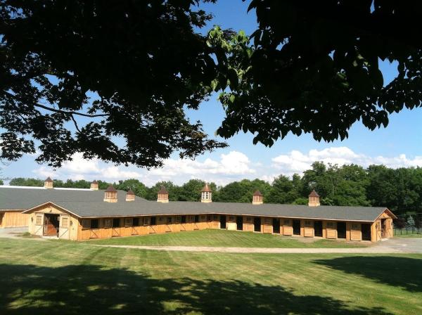 Furlyn Farm and Stables