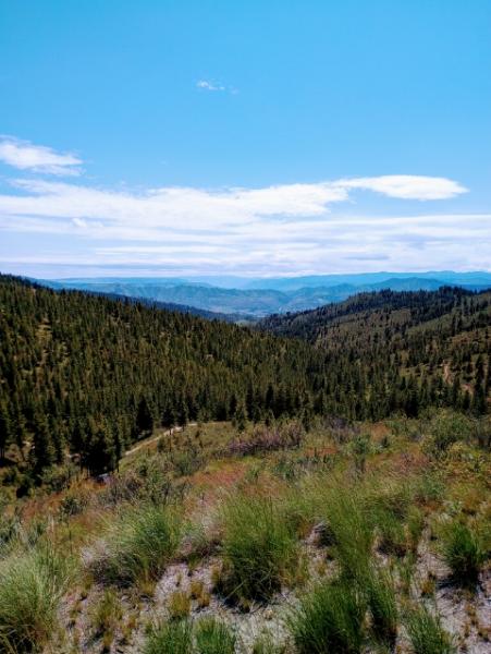 Chelan Mountain View Trail Rides
