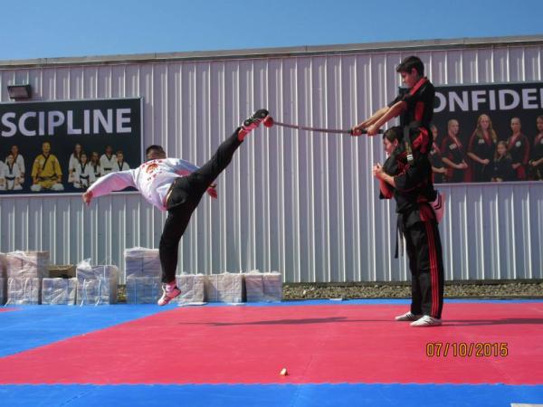 Master Hong's Olympic Taekwondo / Martial Arts