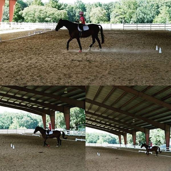 Leprechaun Lane Training Center