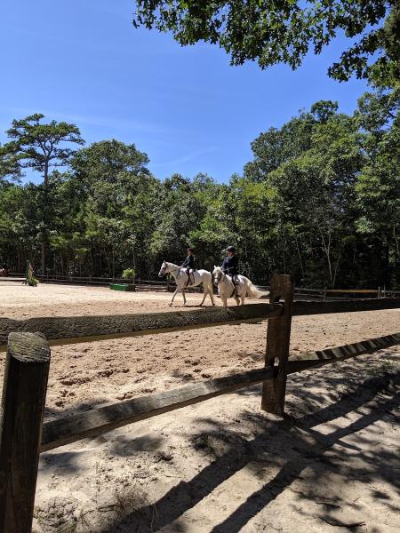 Star Hollow Stables