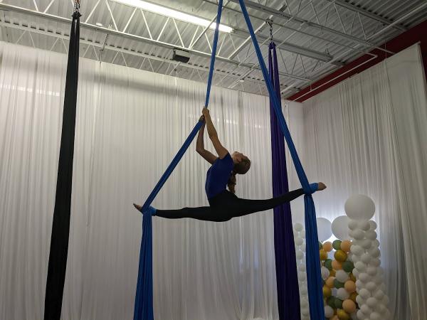 Triad Aerial Arts