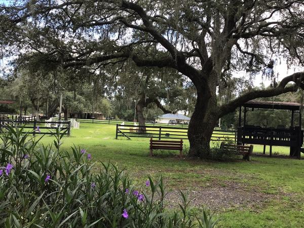 Sunset Riding Stables