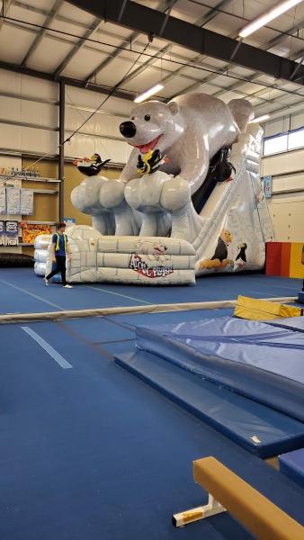 For the Kidz Gymnastics