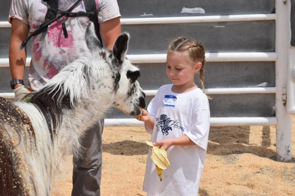 Horses4heroes' the Ranch Las Vegas