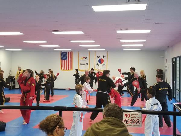 Ktigers Taekwondo Martial Arts Facility