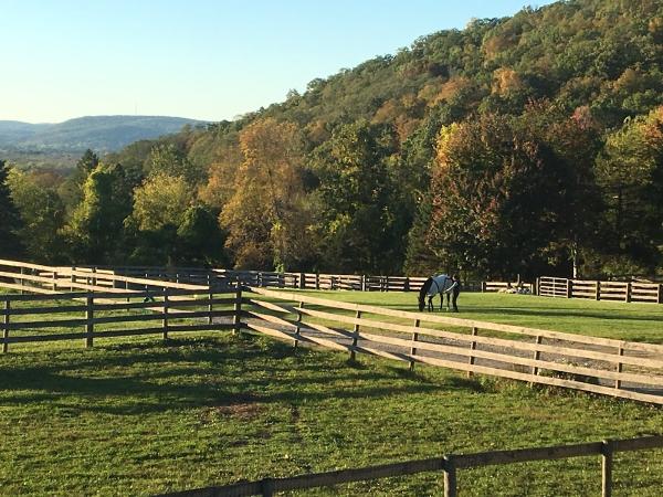 Inner Circle Farm