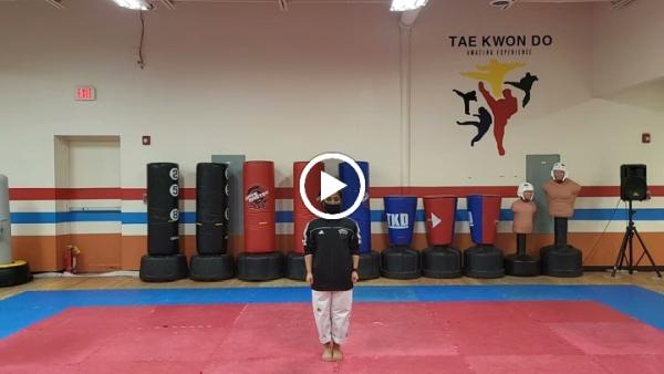 American Martial Arts Academy