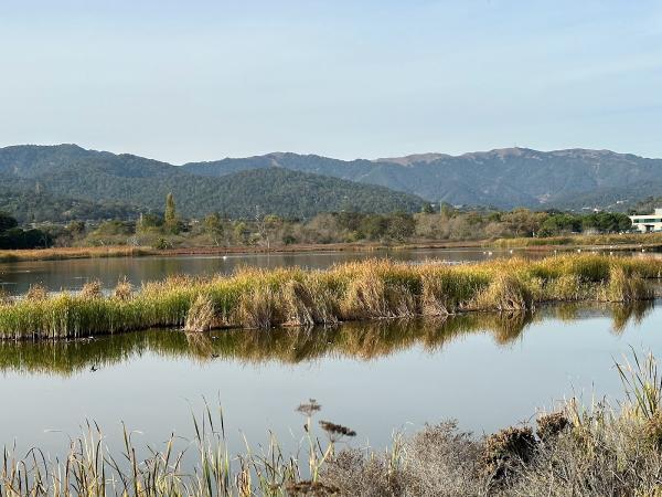 Anubhuti Meditation and Retreat Center