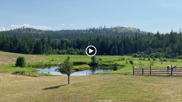 Aspen Creek Ranch