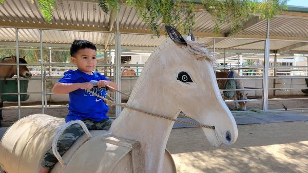 Reins Therapeutic Horsemanship Program