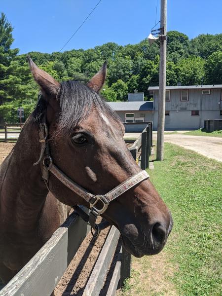 Rocky River Stables