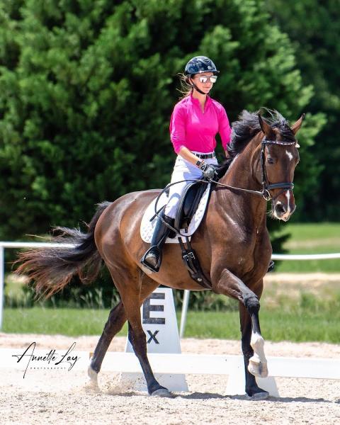 Kalie Beckers Dressage
