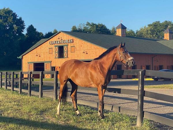 The Clover Stables