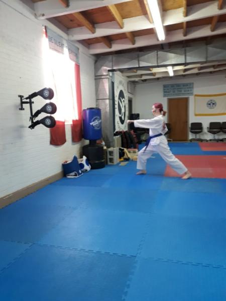 Lee's Taekwondo Class & Martial Art