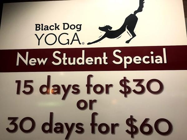 Black Dog Yoga