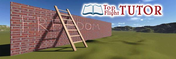 Top Flight Tutor