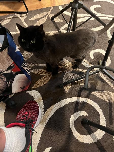 Learn Guitar Fast and Have Fun In the Process!