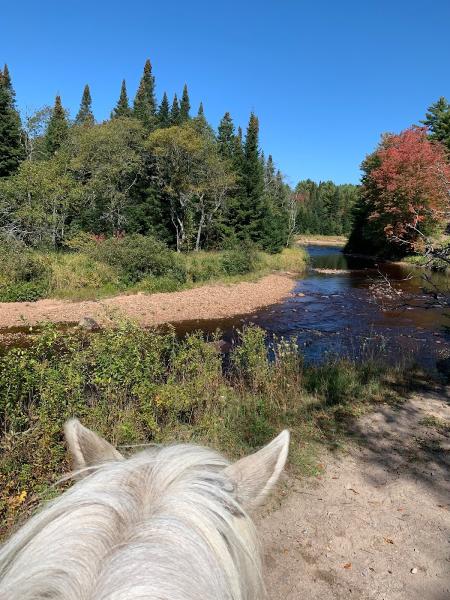 Ottercreek Stables