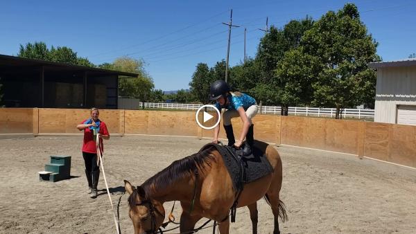 Equestrian Games Riding Academy
