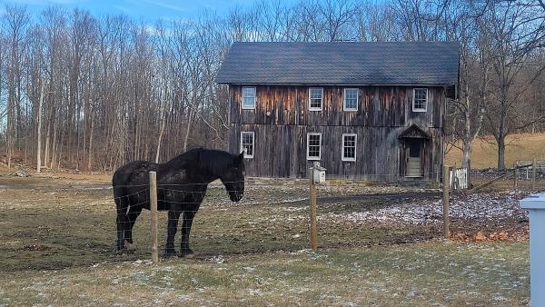 Iron Mountain Farm