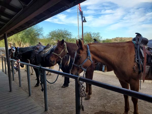 Ponderosa Stables Inc