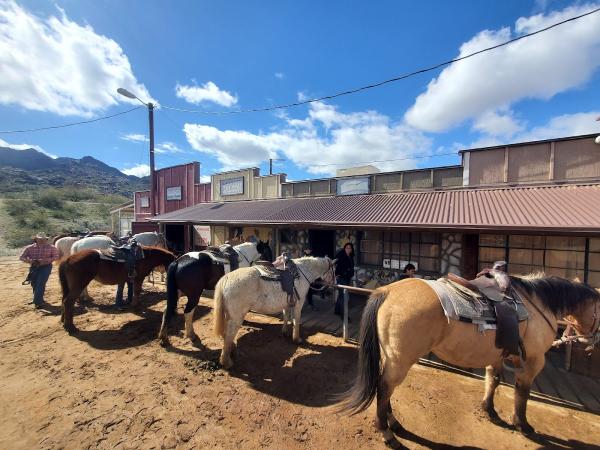 Ponderosa Stables Inc