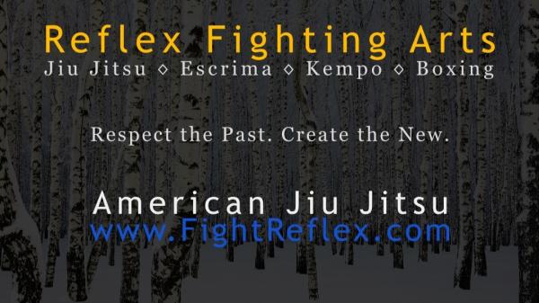 Reflex Fighting Arts