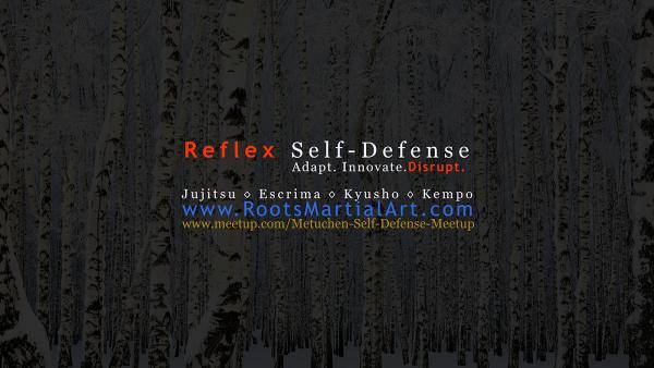 Reflex Fighting Arts