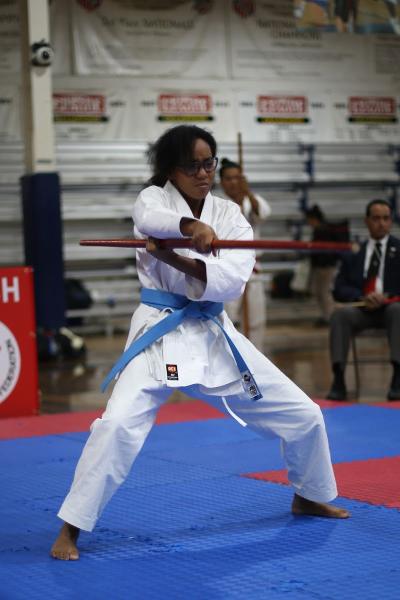 Okinawa Karate Kobudo Kai