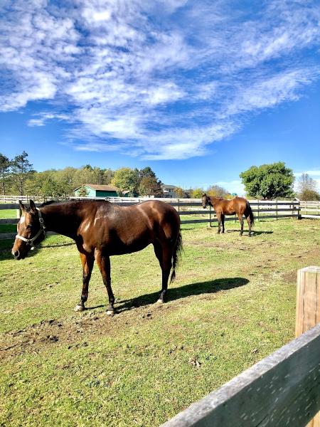 Greenwich Hill Farm