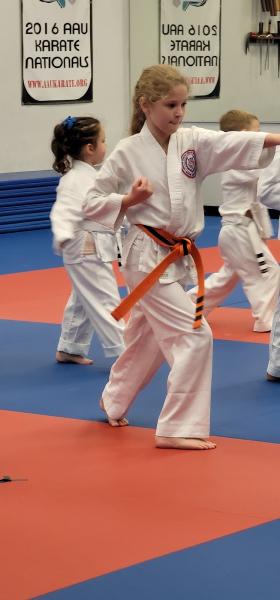 Florida Karate Academy
