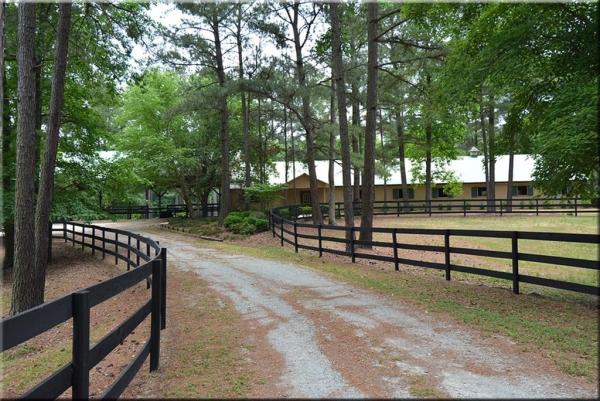 Green Level Equestrian