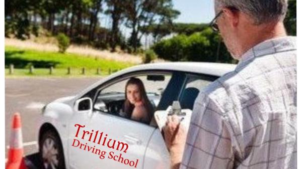 Trillium Driving Schools Llc.(Gwinnett)